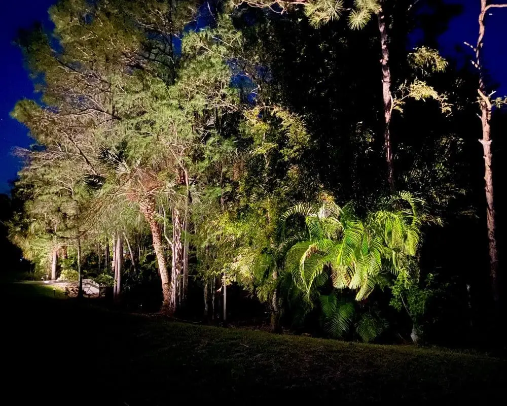 Outdoor Landscape Lighting