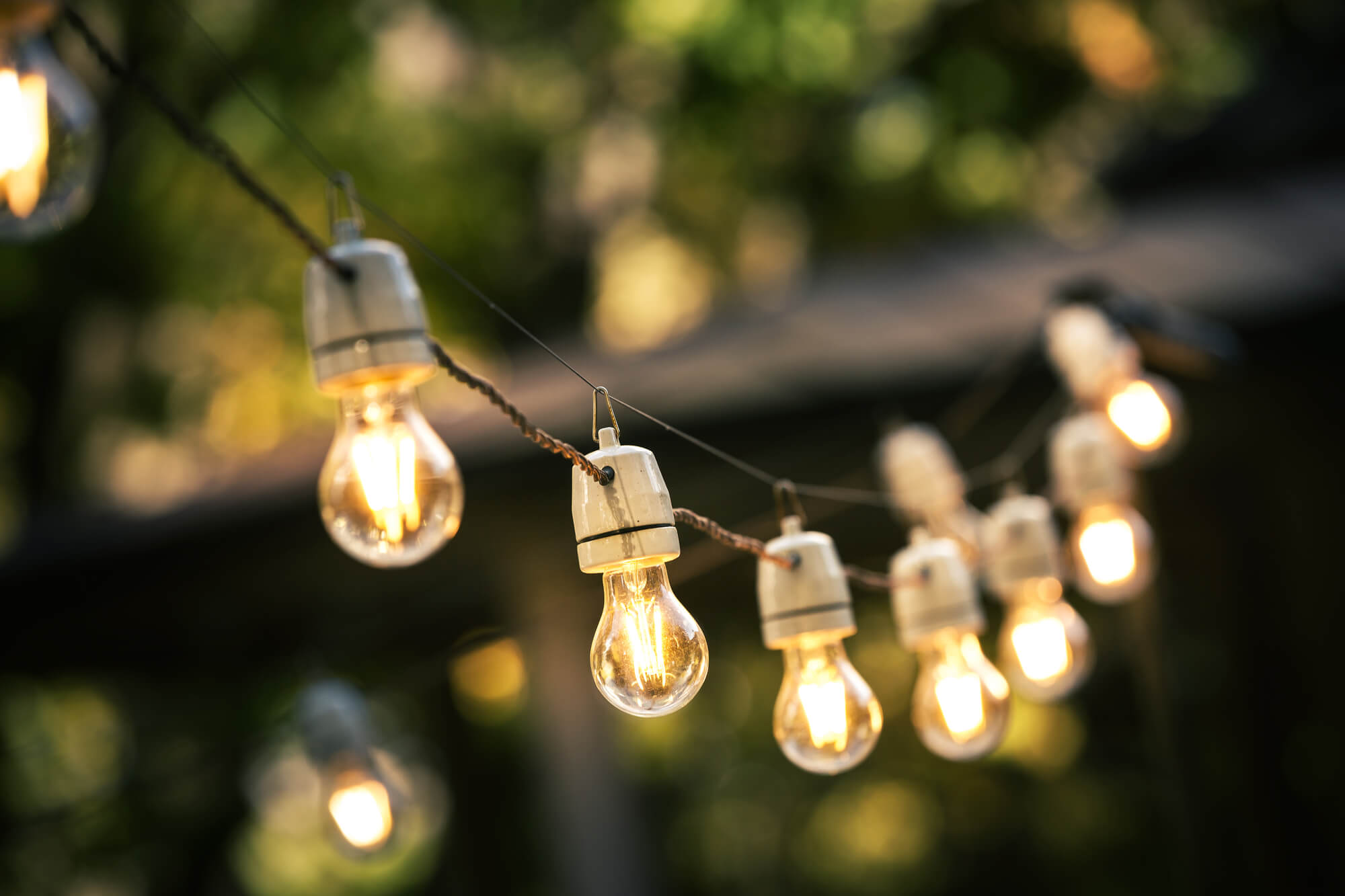 hanging garden lights after tropical landscaping services in florida