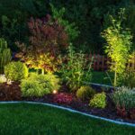 garden plants with lights after tropical landscaping services in florida
