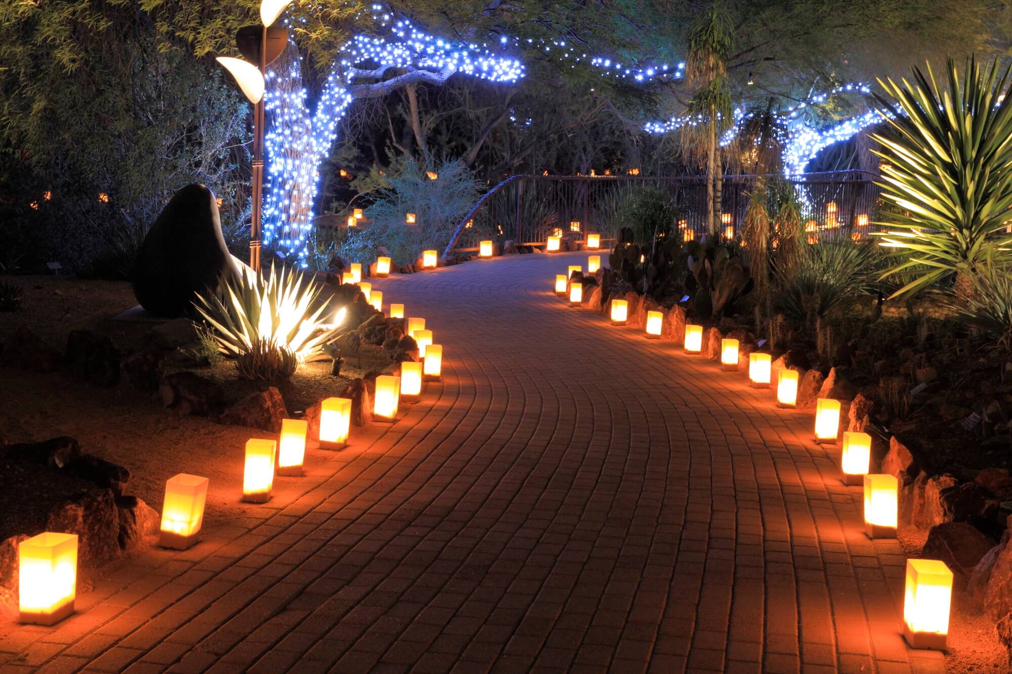 pathway-landscape-lighting-in-palm-beach-fl